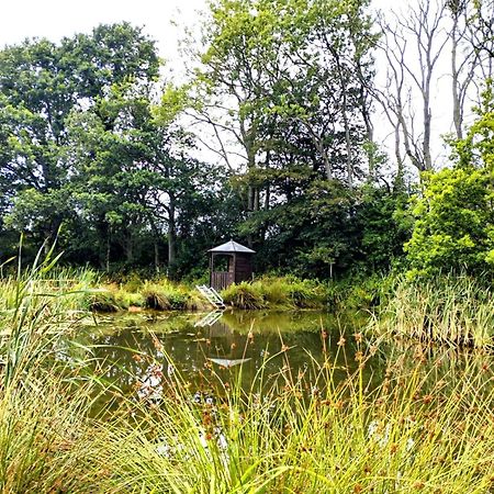 Charming Tranquil Shepherds Hut With Lakeside Balcony 'Roach' Uckfield Exterior photo